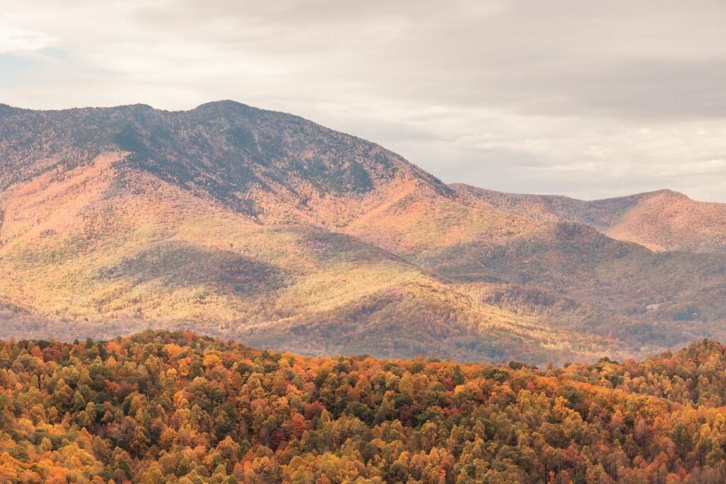 Great Smoky Mountains landscape in Tennessee