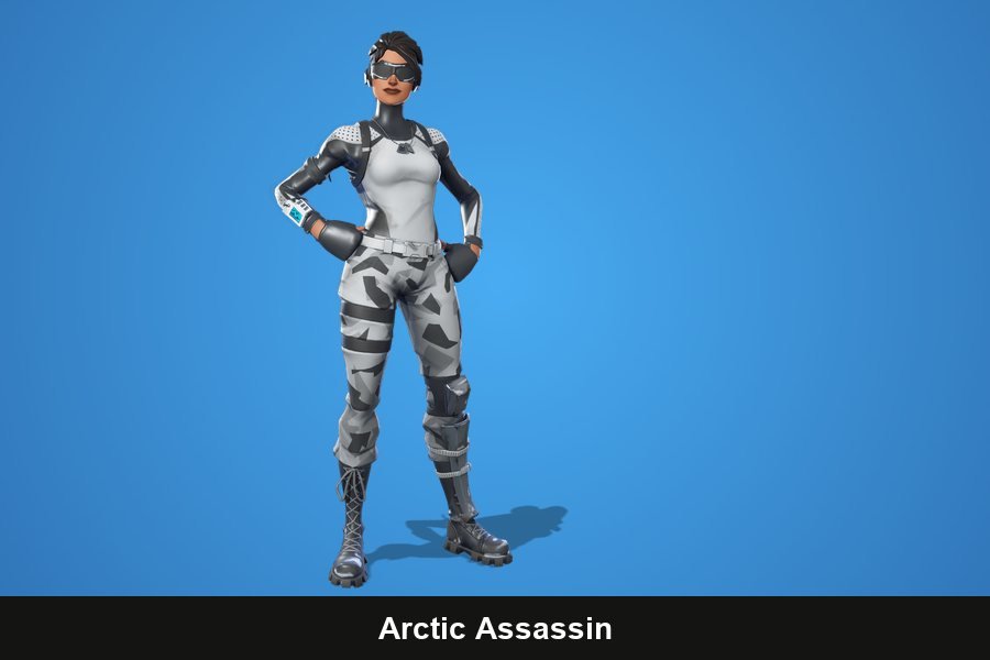 Arctic Assassin Fortnite skin
