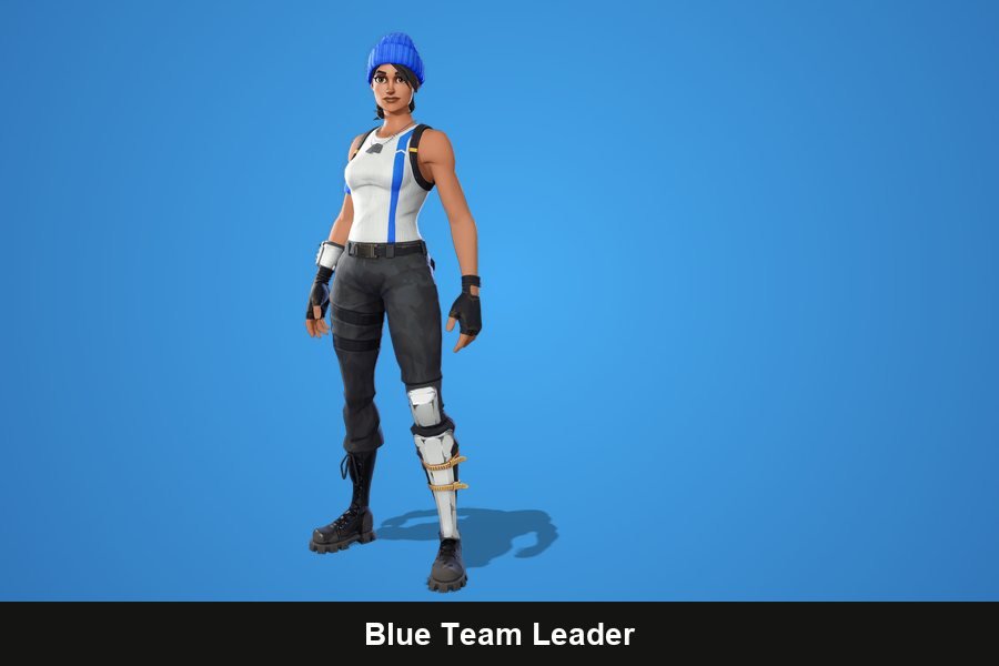 Blue Team Leader Fortnite skin