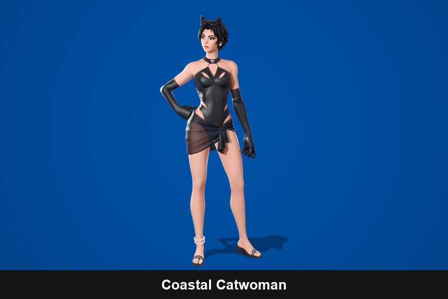 Coastal Catwoman Fortnite skin