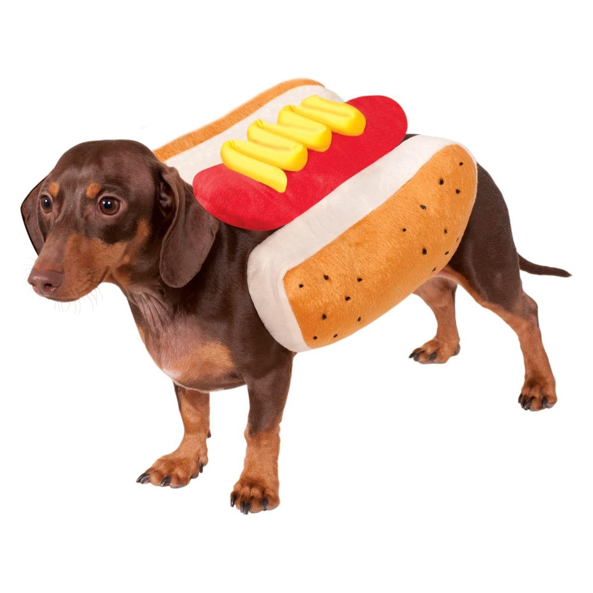 Rubie's hot dog costume on a dachshund