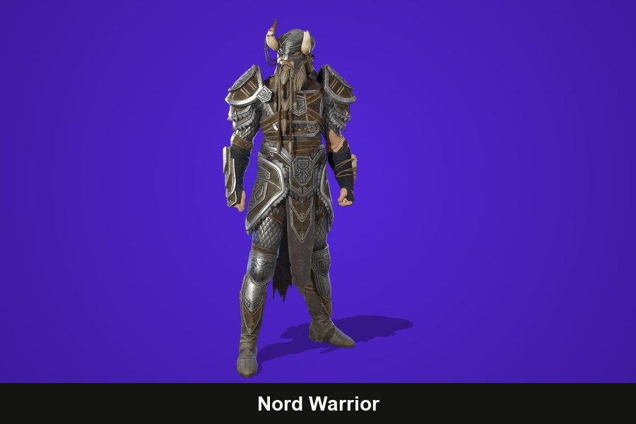 Nord Warrior Fortnite skin