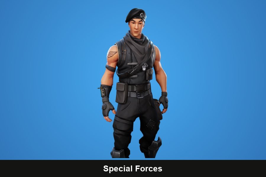 Special Forces Fortnite skin
