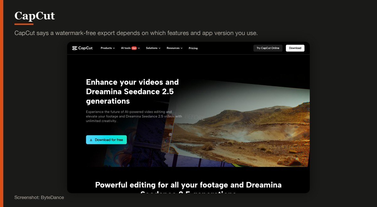 CapCut running in a browser on the developer page
