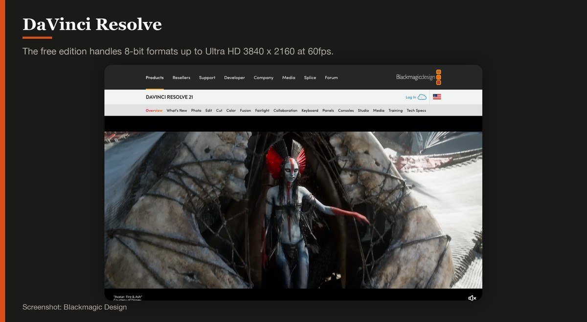 DaVinci Resolve running in a browser on the developer page