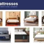 Best Mattresses: 7 Boxed Queens Compared on Feel and Cooling