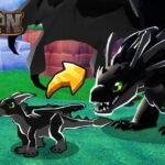 Black dragon growing from an egg to a hatchling to an adult in Dragon Adventures on Roblox