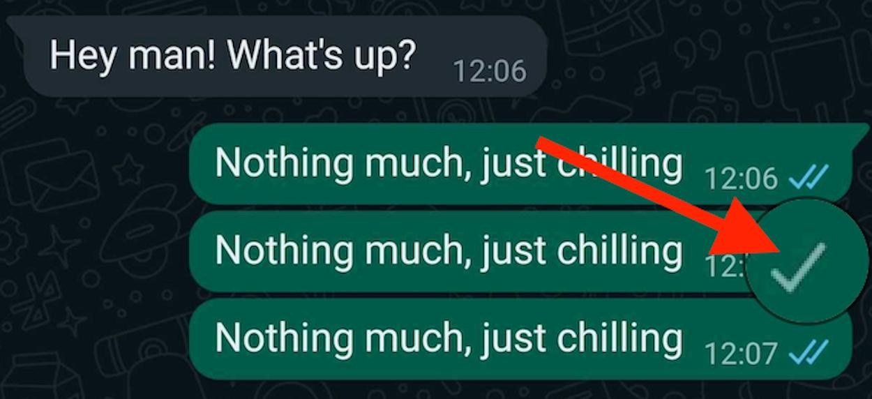 A WhatsApp chat where the most recent messages carry a single grey check mark