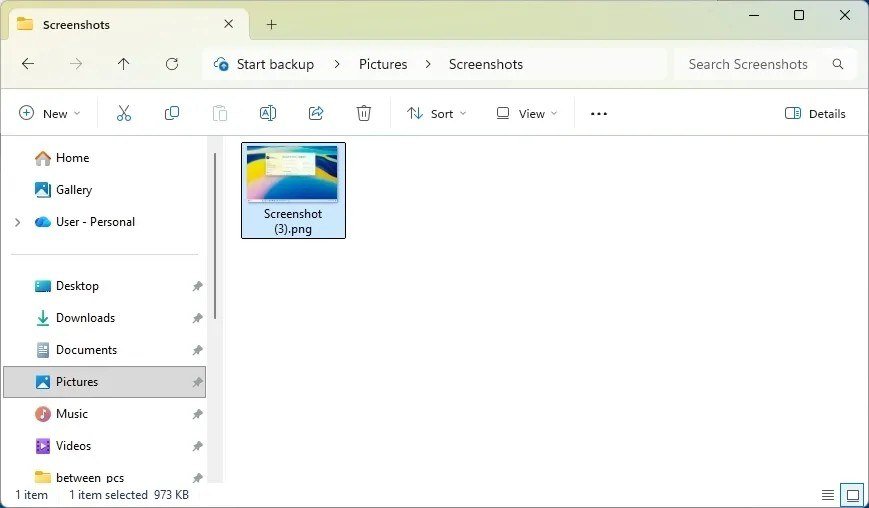 Windows 11 File Explorer open at Pictures, Screenshots with one PNG screenshot file