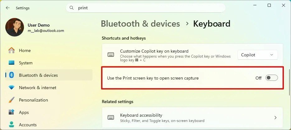 Windows 11 Settings Keyboard page with the Use the Print screen key to open screen capture toggle highlighted