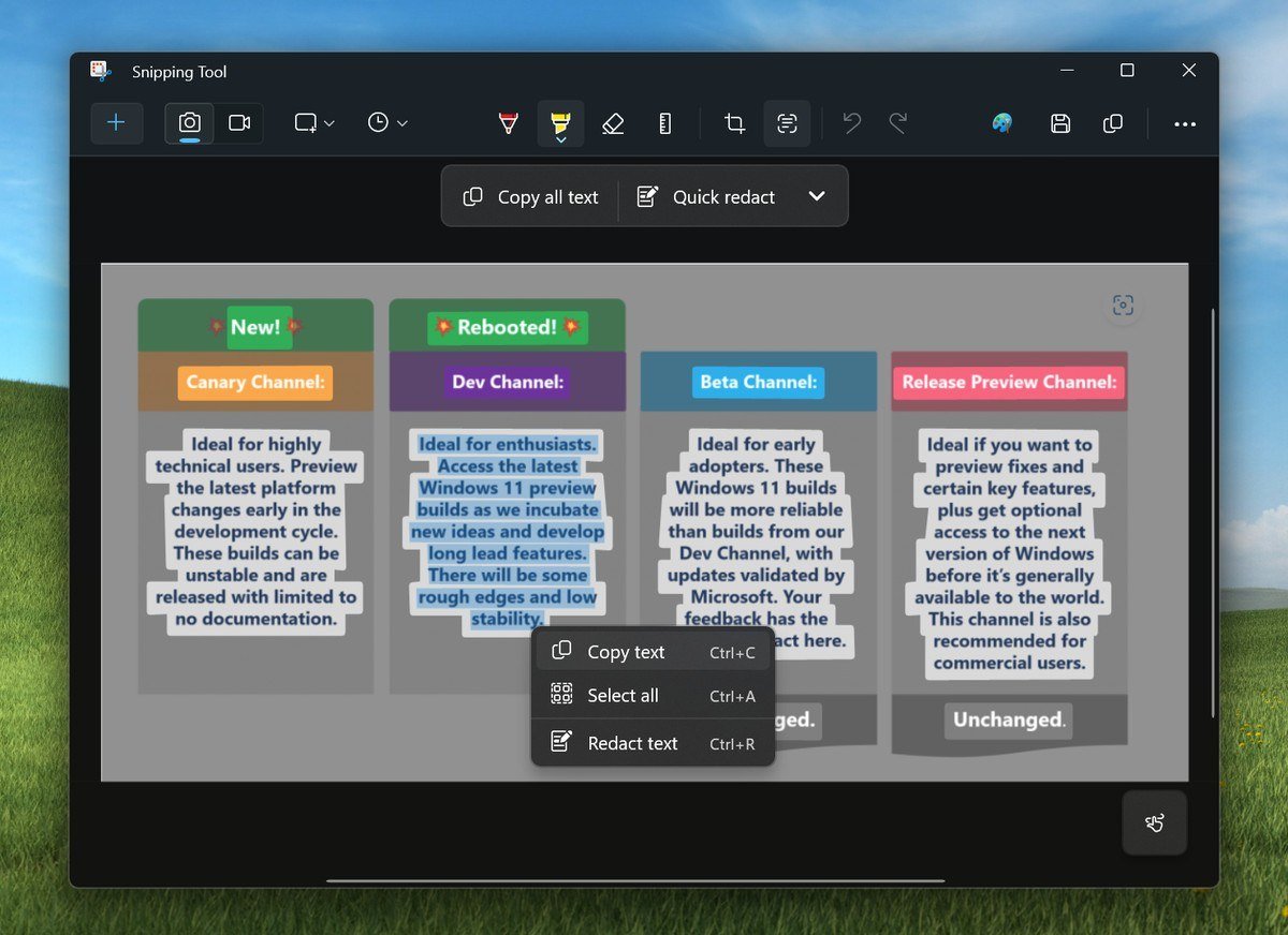 Snipping Tool showing selectable text with Copy all text and Quick redact buttons and a Redact text menu