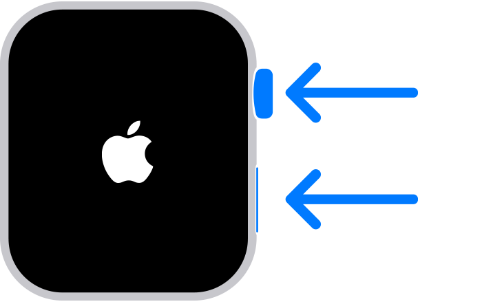 Apple Watch screen showing the Apple logo while the watch restarts