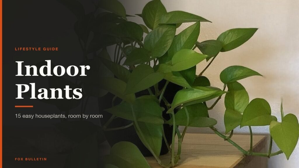 Bright neon pothos trailing from a pot on a wooden shelf beside the Indoor Plants headline