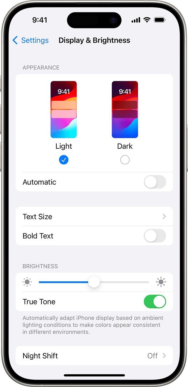 Display & Brightness screen with the brightness slider and True Tone switch