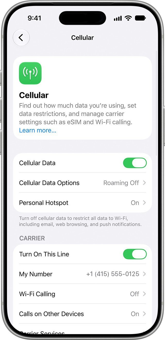 Cellular settings screen with Cellular Data, Cellular Data Options and Personal Hotspot rows