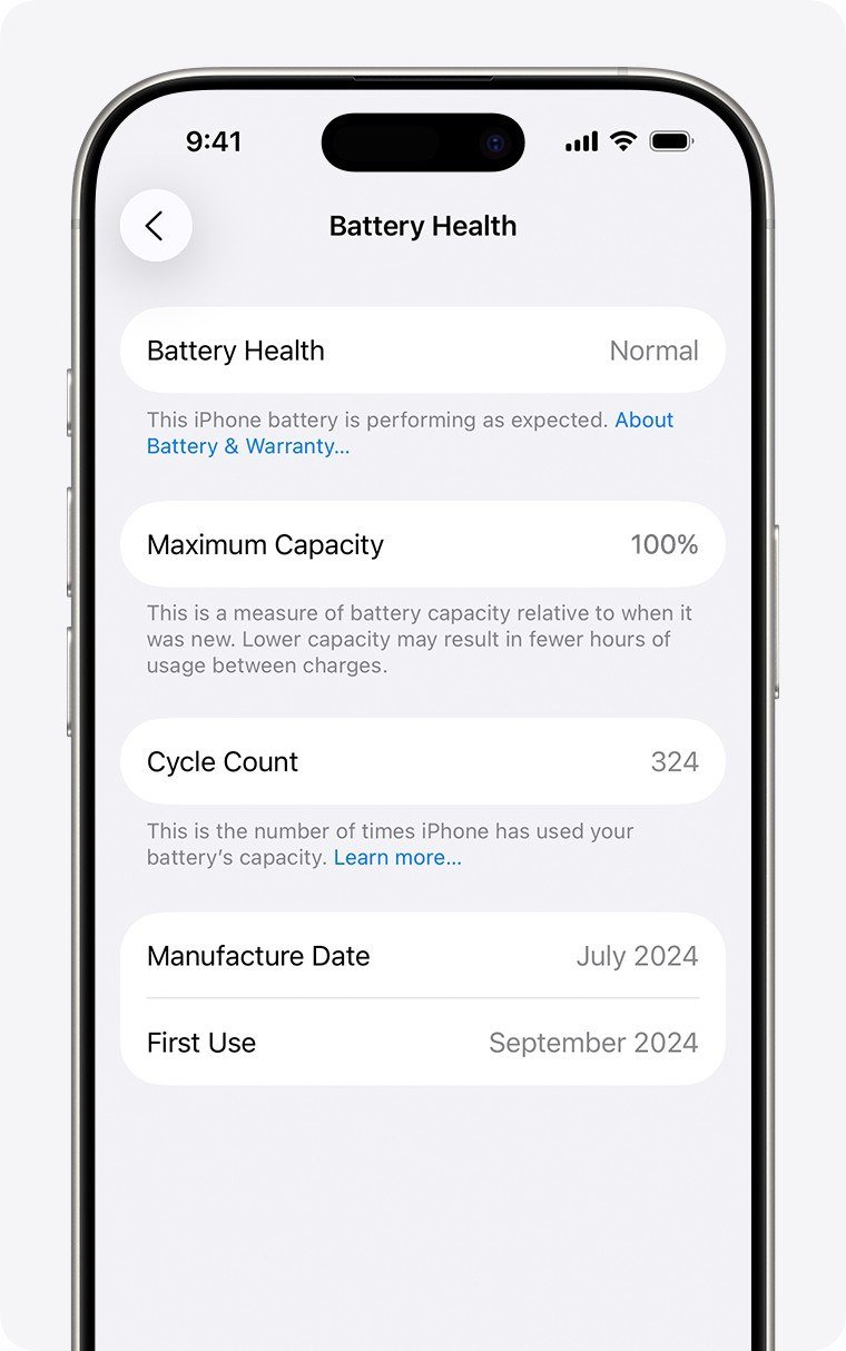 Battery Health screen showing Maximum Capacity 100 percent and a Cycle Count of 324