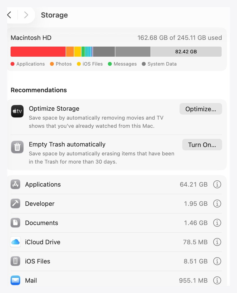 macOS Storage settings showing the capacity bar, the Recommendations list and the storage categories