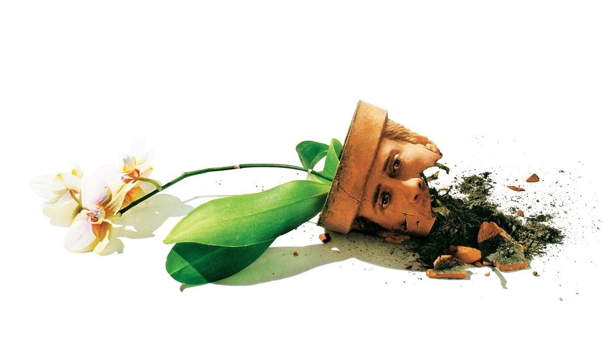A scene from Adaptation. (2002)