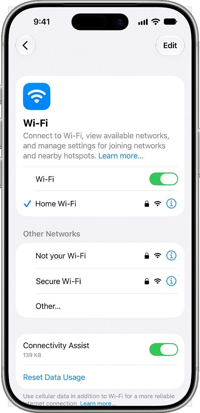 iPhone Settings Wi-Fi screen with the joined network ticked and an info button beside each network