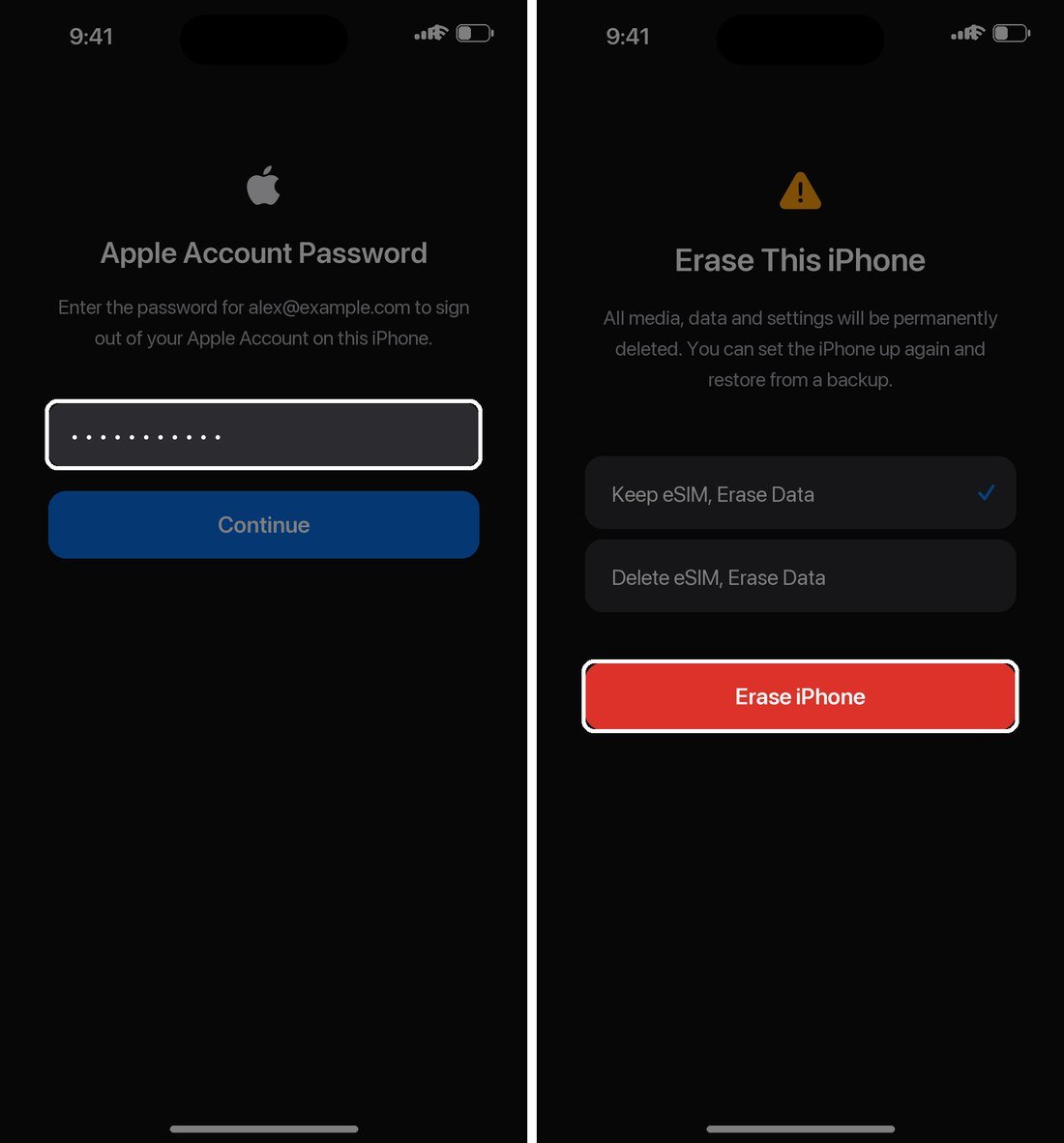 Entering the Apple Account password to sign out, then confirming Erase iPhone