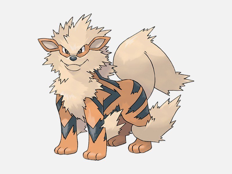 Official artwork of Arcanine, a Fire-type Pokémon