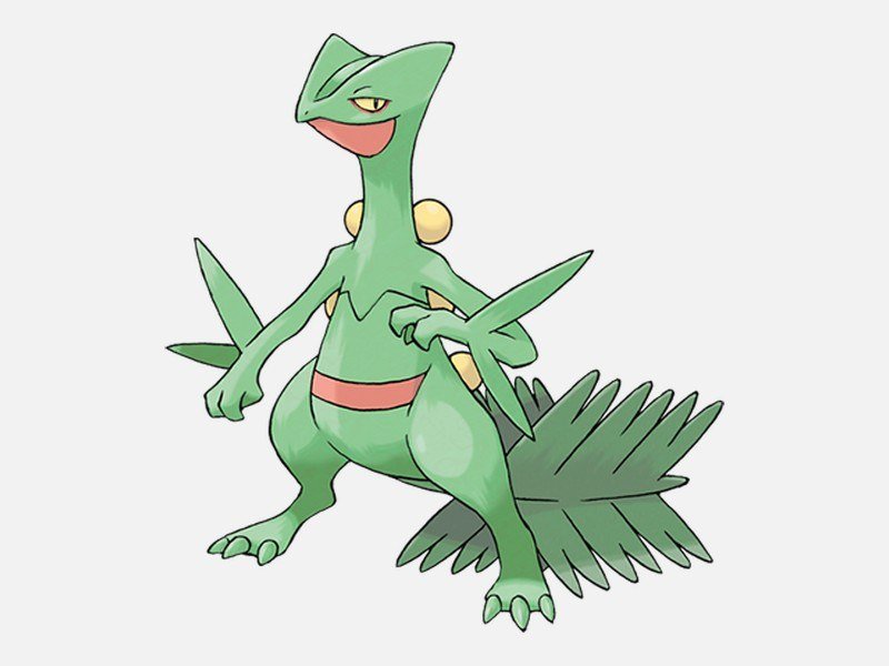 Official artwork of Sceptile, a Grass-type Pokémon
