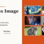 Graphic titled Roblox Image IDs showing six decal thumbnails including The Starry Night and a troll face with their asset IDs