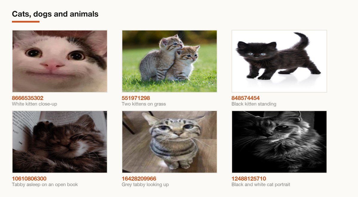 Six Roblox decals in the cats, dogs and animals category shown with their image IDs
