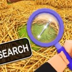 A cartoon hand holding a magnifying glass over a straw haystack beside a Search prompt in Search For The Needle