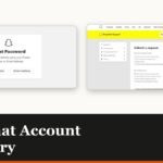 The Snapchat accounts portal reset password screen
