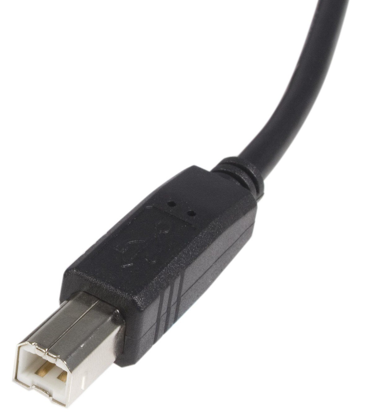 Square USB Type-B plug with a beveled metal tip on a black cable