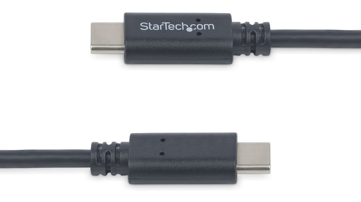 Two gray USB-C plugs with oval reversible tips on a USB-C to USB-C cable